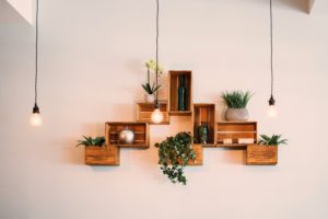 Las plantas son una de las tendencias de decoración para tu hogar en 2022
